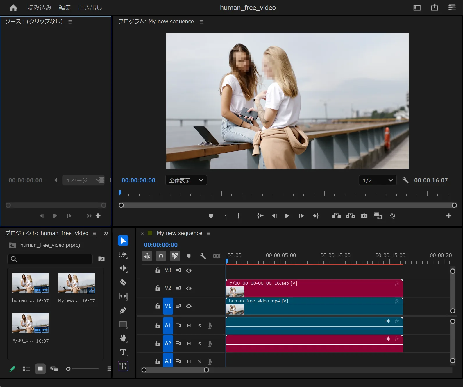 Adobe Premiere Pro のプログラムモニタ。Deepmosaic から取り込んだモザイク情報で、映っている 2 人の顔にモザイクがかかっている